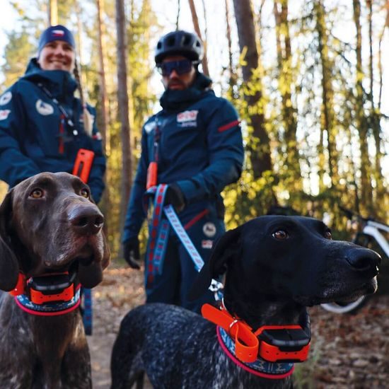 GPS obojek pro psa s výcvikovým modulem DOG GPS X40T