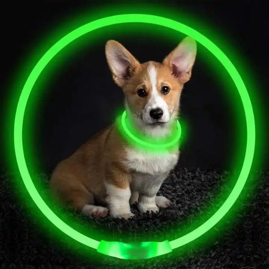 Reedog LED collar luminoso recargable para perros y gatos