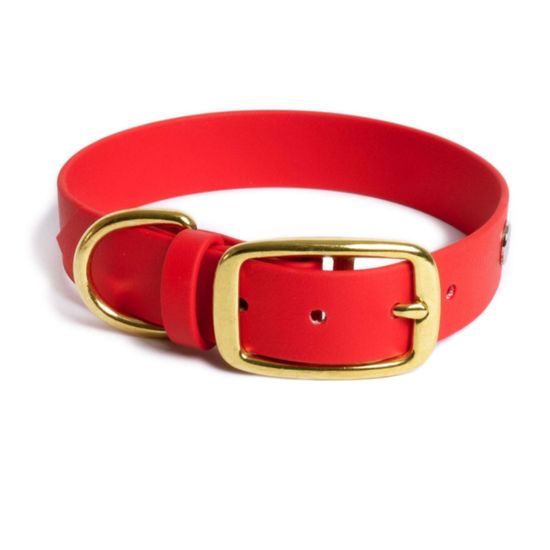 Reedog Halsband rot Biothane