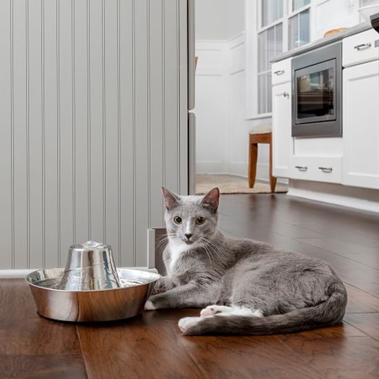 PetSafe® Seaside