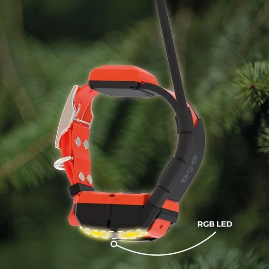 GPS obojek pro psa DOG GPS X40