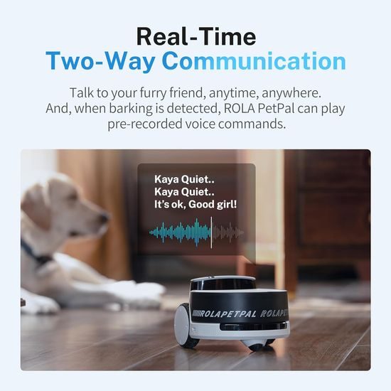 ROLA PetPal smart companion with AI