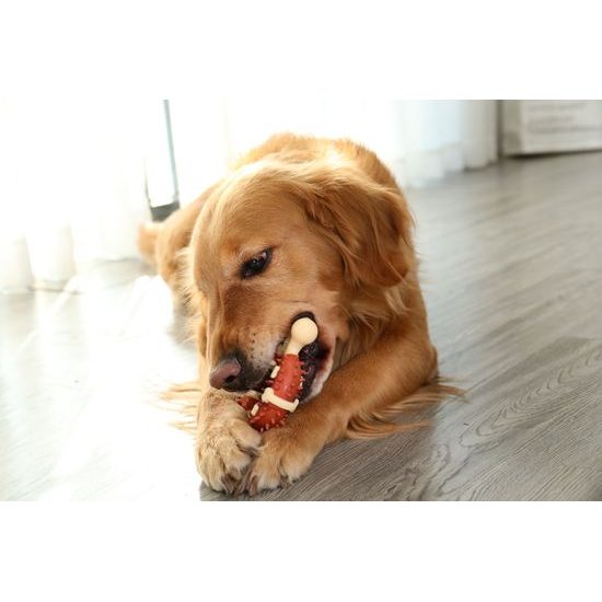 Reedog Bone, dental toy for dogs