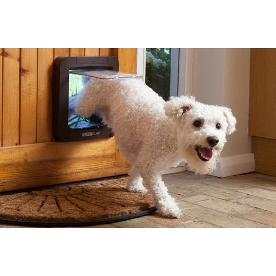 SureFlap Hundeklappe mit Mikrochip