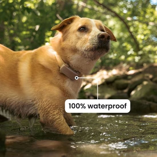 Tractive DOG 6 XL