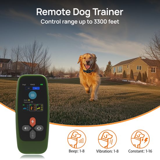 Patpet T800 Pro