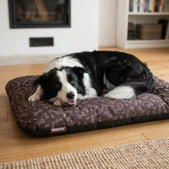 Reedog Matrace Eco Extra Brown Bones