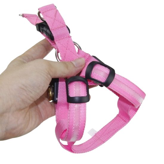 Arnés luminoso Reedog para perros y gatos