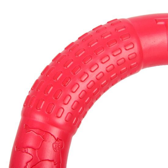 Reedog training ring for dogs