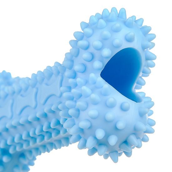 Reedog Bone, gumová dentální hračka pro psy, 12 cm