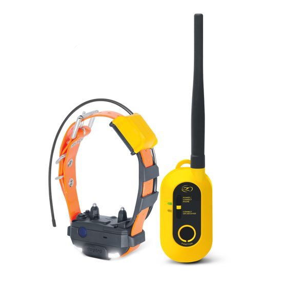 Dogtra Pathfinder 2 Mini - GPS and training collar