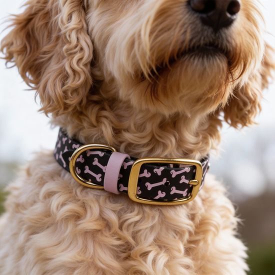 Collar Bura negro con huesitos