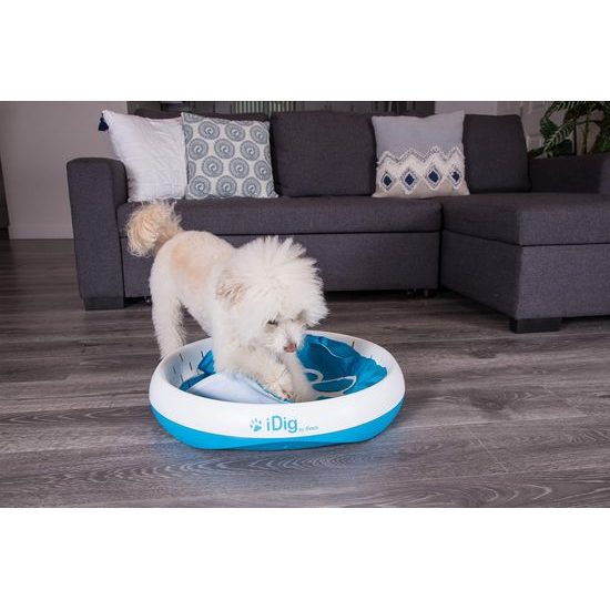 iFetch iDig Stay Digging Toy