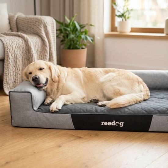 Reedog Pelíšek Victoria Ekolen Ash