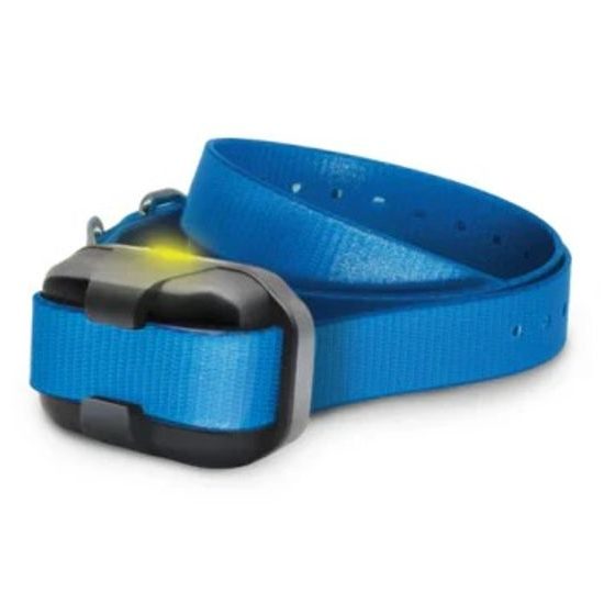 Halsband und Empfänger Dogtra 640X