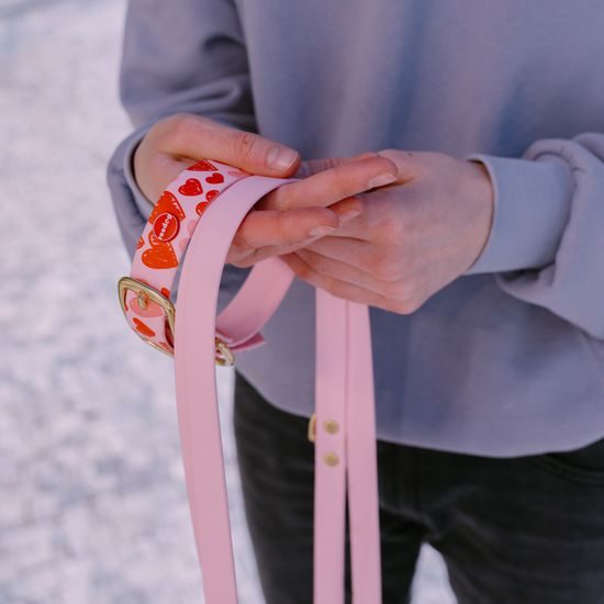 Collar Reedog rosa corazones BioThane