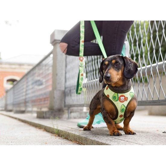 Reversible harness AVOCADO