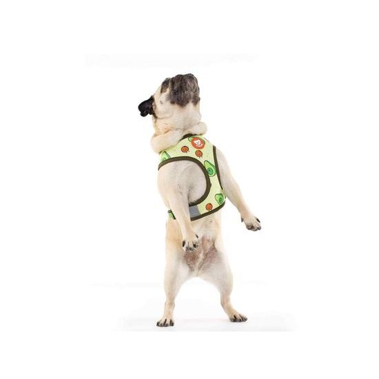 Reversible harness AVOCADO