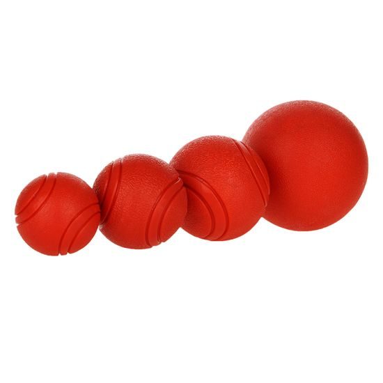 Reedog Red Ball