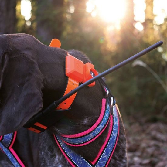 GPS obojek pro psa se ZVUKOVÝM LOKÁTOREM DOG GPS X40B