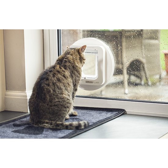 SureFlap door with microchip for cats