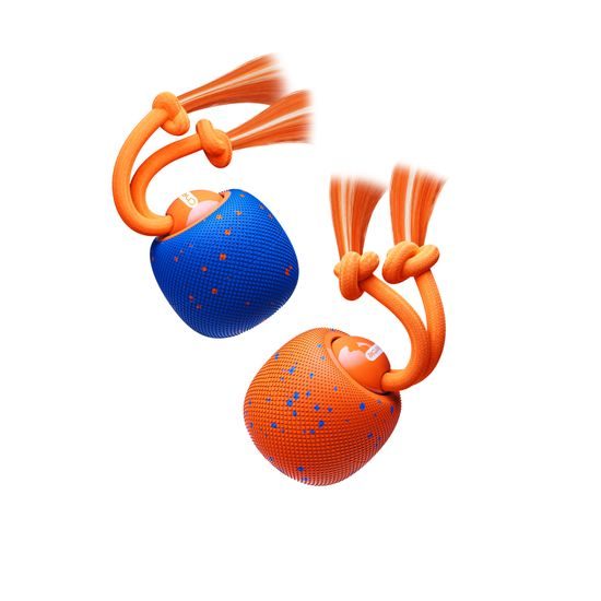 Cheerble Wicked Ball Rolly