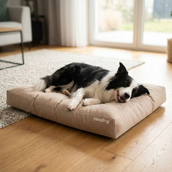 Reedog Matrace Grand Light Beige