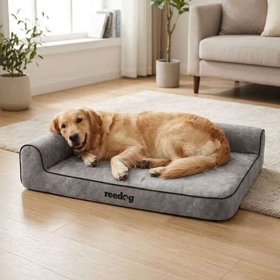 Reedog Pelíšek Best Dora Gray