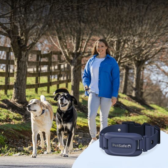 PetSafe® Pro 300m