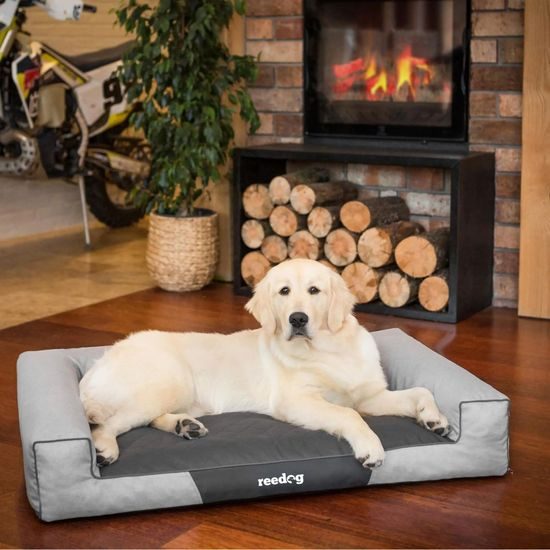 Reedog Victoria Ekolen Ash Pelech pre psa