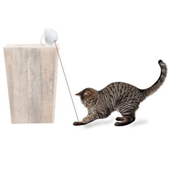 Cat toy, PetSafe, Dancing Dot