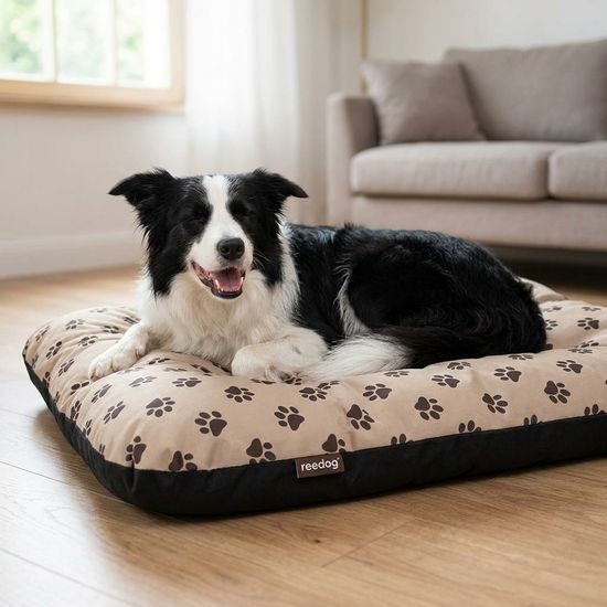 Reedog Matrace Eco Extra Paws