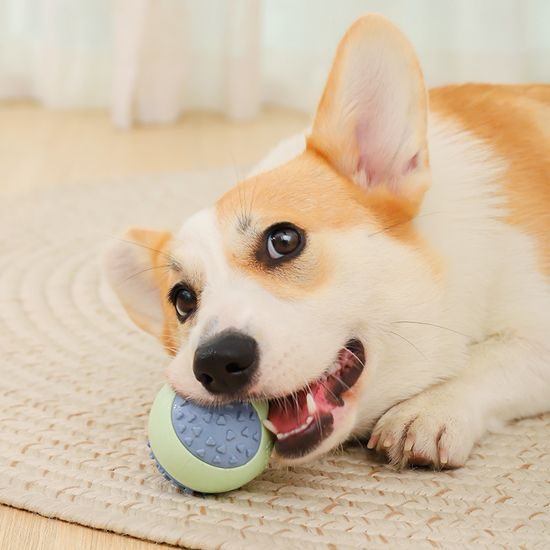 Reedog Gummi-Beißball