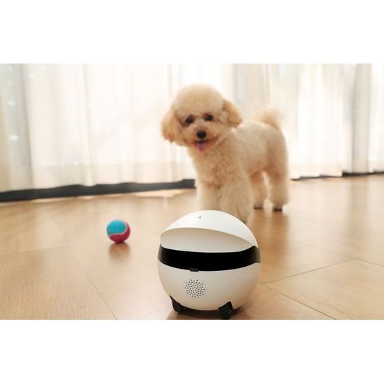 Enabot ROLA Mini Bewegungskamera für Haustiere