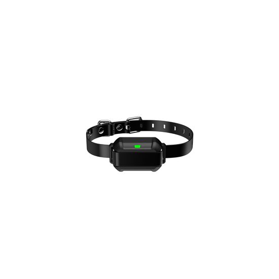 Halsband und Empfänger F900 PLUS