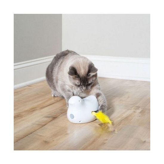 Peek-a-Bird cat toy