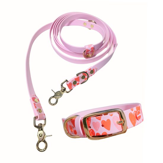 Reedog Gassi-Set Herzen BioThane HALSBAND + LEINE