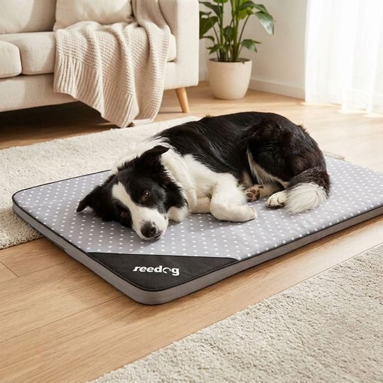 Reedog Podložka Thin Grey Point