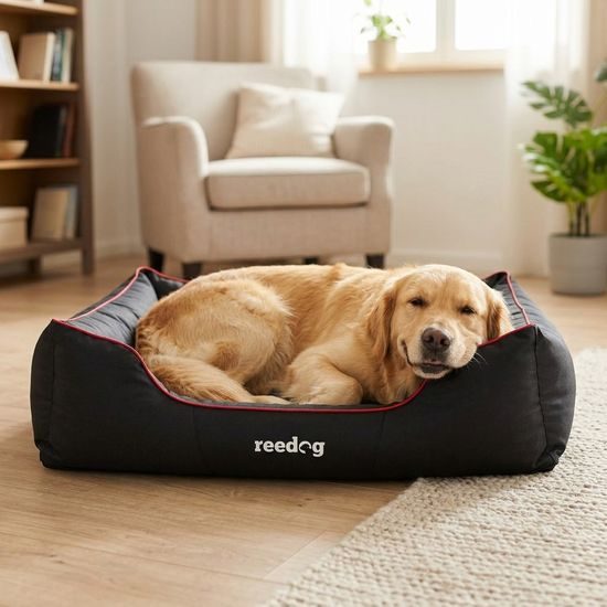 Reedog Pelíšek Comfy Black & Red line