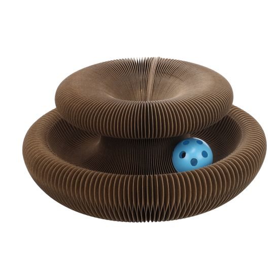 Flamingo kaparó Kava Brown