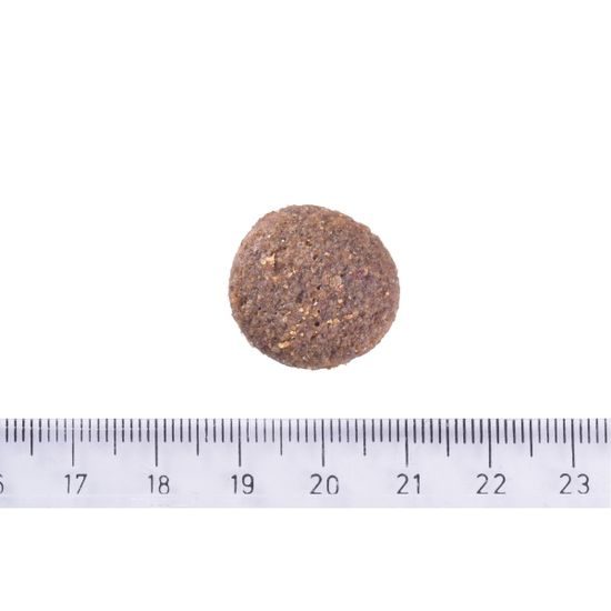 Brit Care Dog Hypoallergenic Adult Large Breed Lamb 3 kg