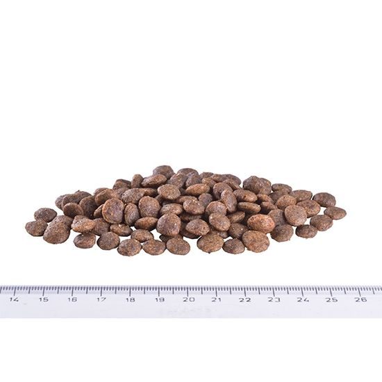 Brit Care Mini GF Sensitive Venison 400 g