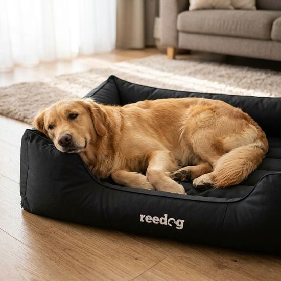 Reedog Pelíšek Comfy Black