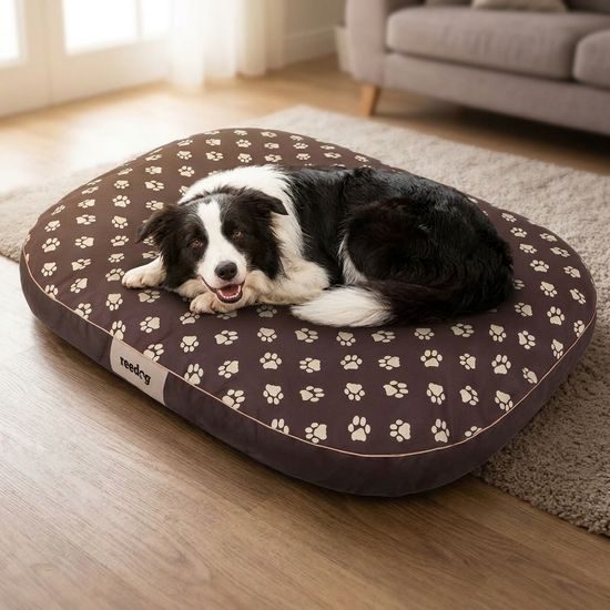 Reedog Matrace Round Brown Paw