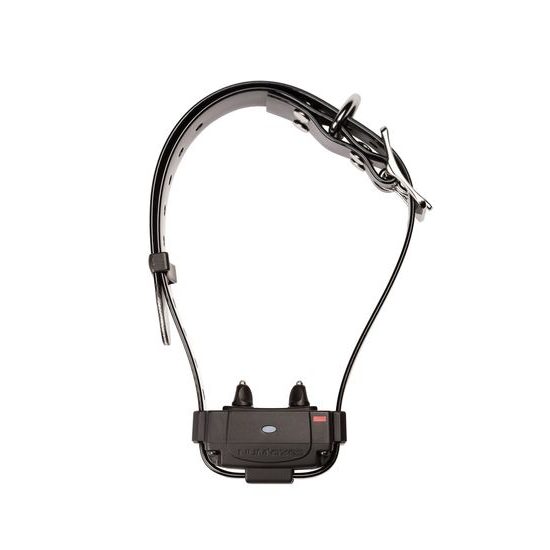 Num´axes Canifugue FUG1034 Zgarda cu receptor