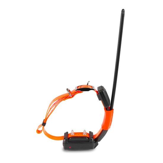 Dog gps x30t hotsell