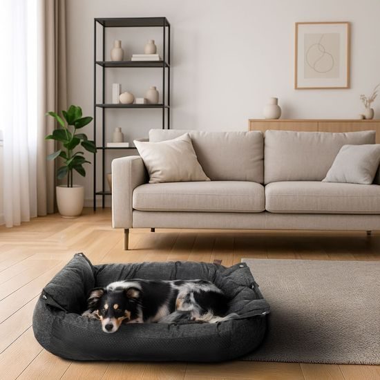 Reedog Twice Bed Black