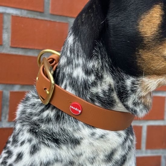 Reedog obojek světle hnědý Biothane