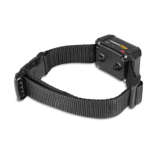 Collar de entrenamiento para perros d-control edge - receptor IZV
