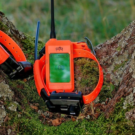 Obroża GPS z lokalizatorem dźwiękowym DOG GPS X30TB Short